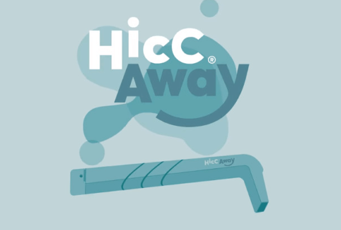 HiccAway Net Worth