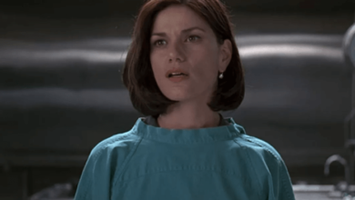 Linda Fiorentino Net Worth