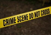 hotline numbers for investigation