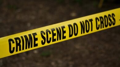 hotline numbers for investigation