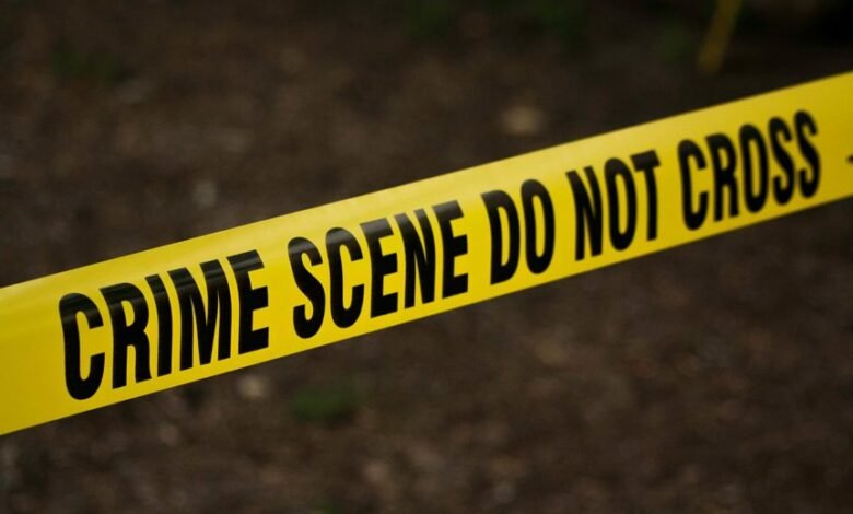 hotline numbers for investigation