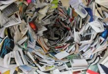 educational resources and insights
